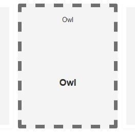 Owl carousel selection