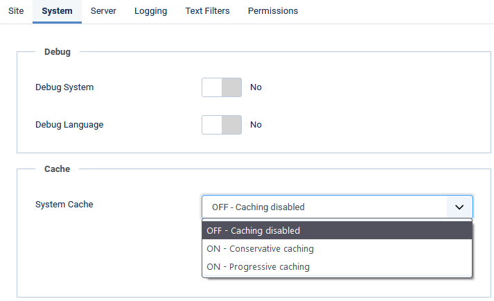 The Joomla cache options