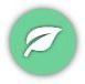 SYW Icon custom field icon